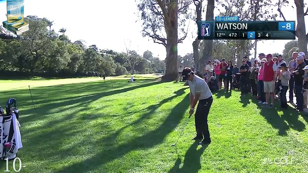 Top 12 Best Golf Shots 2016 Northern Trust PGA Tour