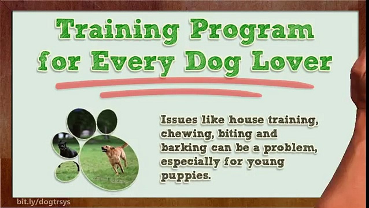 Training Program for Every Dog Lover (((*The Dog Training System is a Fast and Effective*))