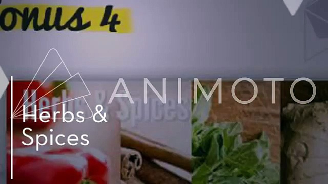 Paleo Cookbook |New Branded Recipe Book Plus 6 Bonuses| 2014