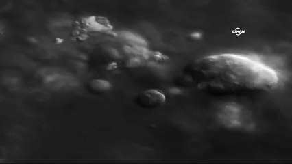 Kanserli bir tümörün oluşma anı ilk kez görüntülendi