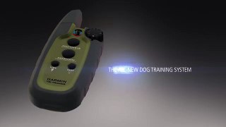 Sport PRO: The Dog Training System You can Operate with One Hand