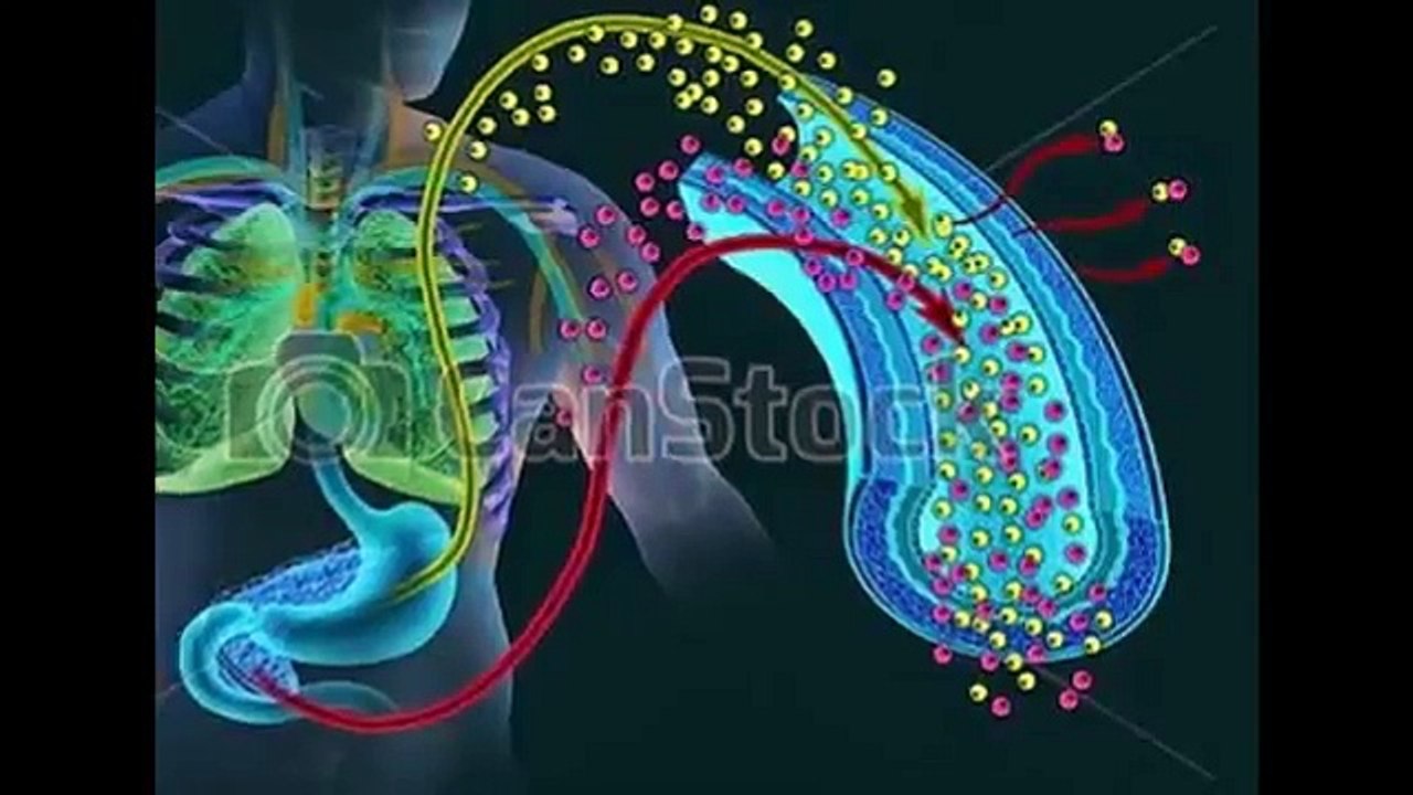 Diabetes Destroyed Review - Does Diabetes Destroyed Works??