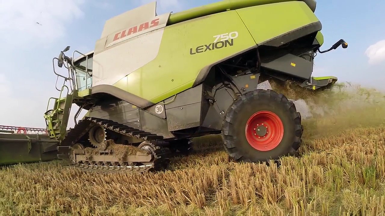NEW CLAAS LEXION 750 & R660 Rice Harvest 2014 in Italy