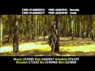 Bichod Ko Ghau | Basanta Lamsal and Pavitra | Basuri Music