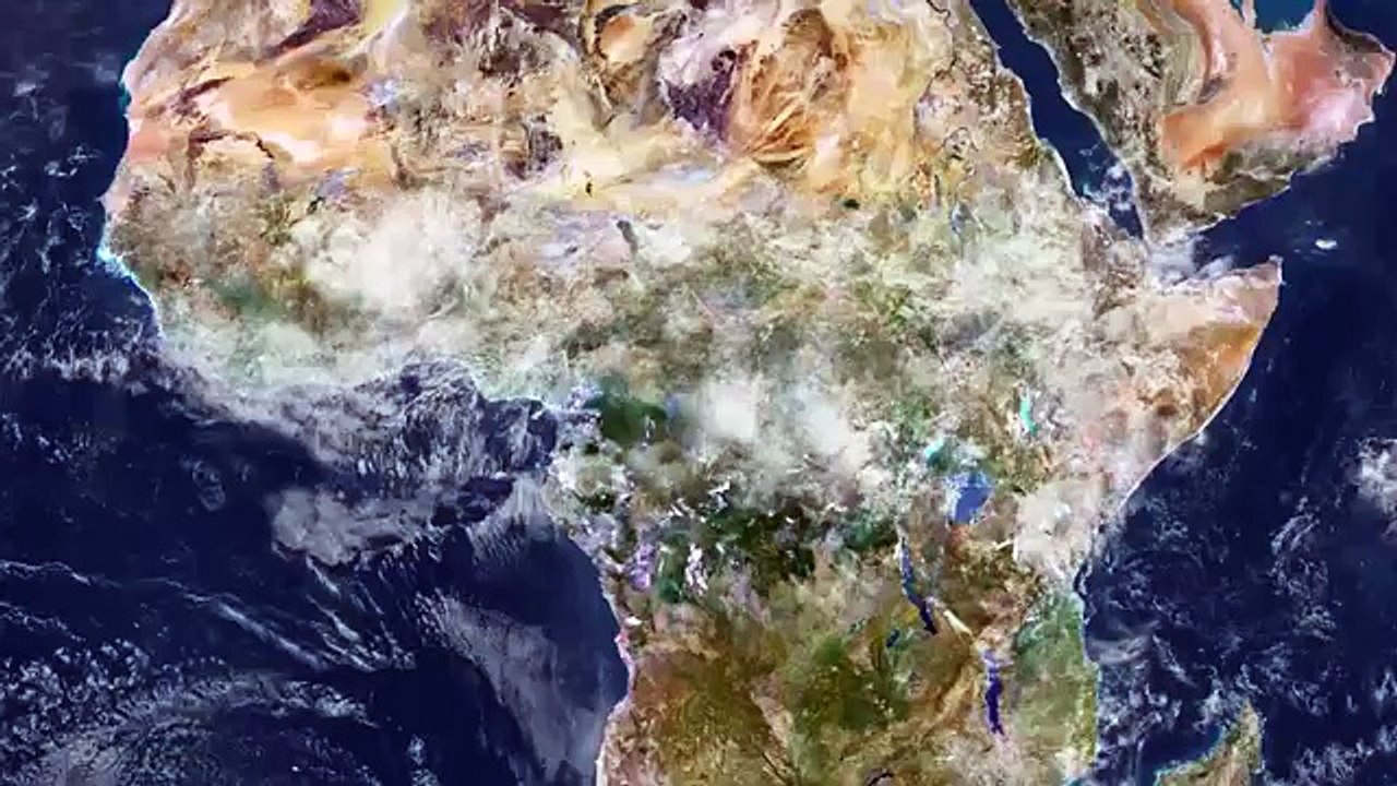 The Zika virus, explained