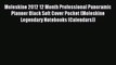 (PDF Download) Moleskine 2012 12 Month Professional Panoramic Planner Black Soft Cover Pocket