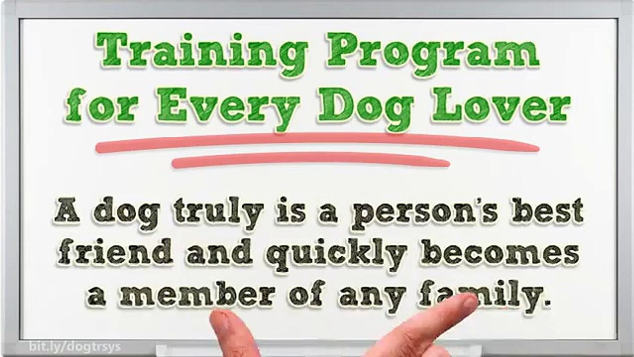 (((*The Dog Training System is a Fast and Effective*)) Training Program for Every Dog Lover