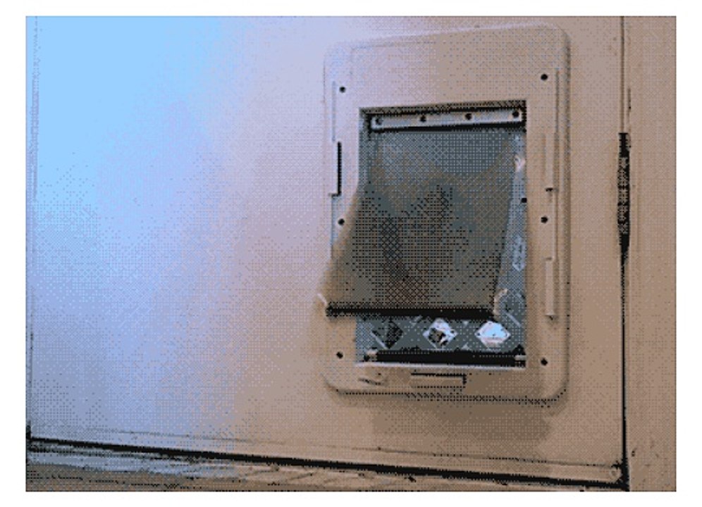 GIF4