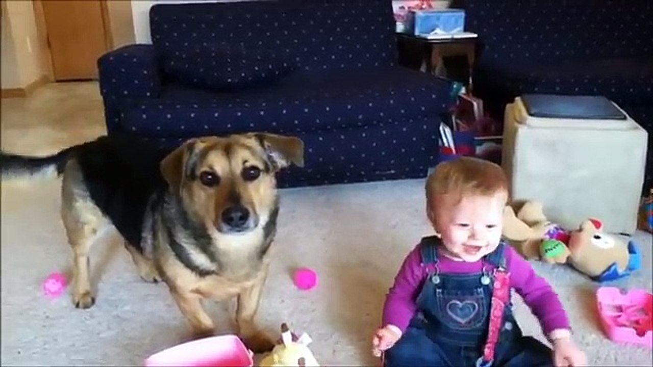 FUNNY BABY VIDEOS PART 17