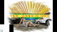鍍鋅菱形網, 04-7240760   張小姐PVC鍍鋅菱形網, 鍍鋅菱形網,菱形網價格,菱形網圍籬價格,pvc菱形網,鍍鋅菱形網,包覆PVC塑膠菱形網