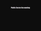 (PDF Download) Public Sector Accounting Download