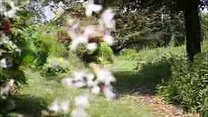 Rolls-Royce Wraith. Сказка. Мечта.