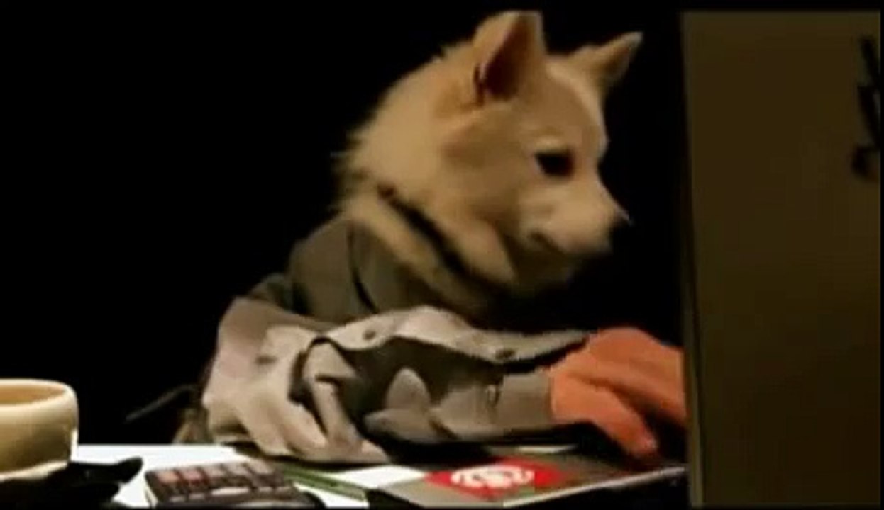 Automated Forex Trading for Beginners | Forex Striker - The USA Patented Bulletproof FX Solution