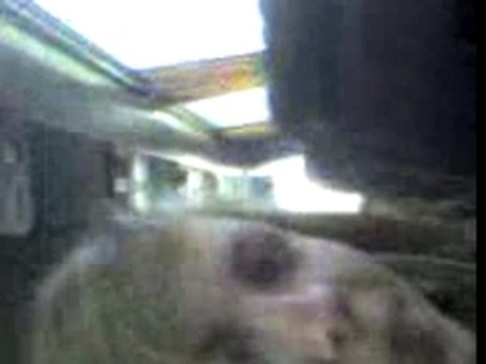 Vidéo 0481