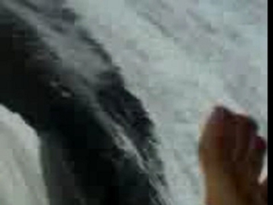 tsunami