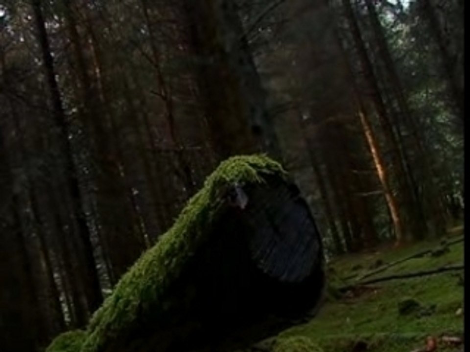 Mr Toc trilogy - teaser