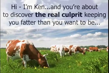 "PRIMAL BURN FAT BURNER SYSTEM" ¡¡¡Review!!!