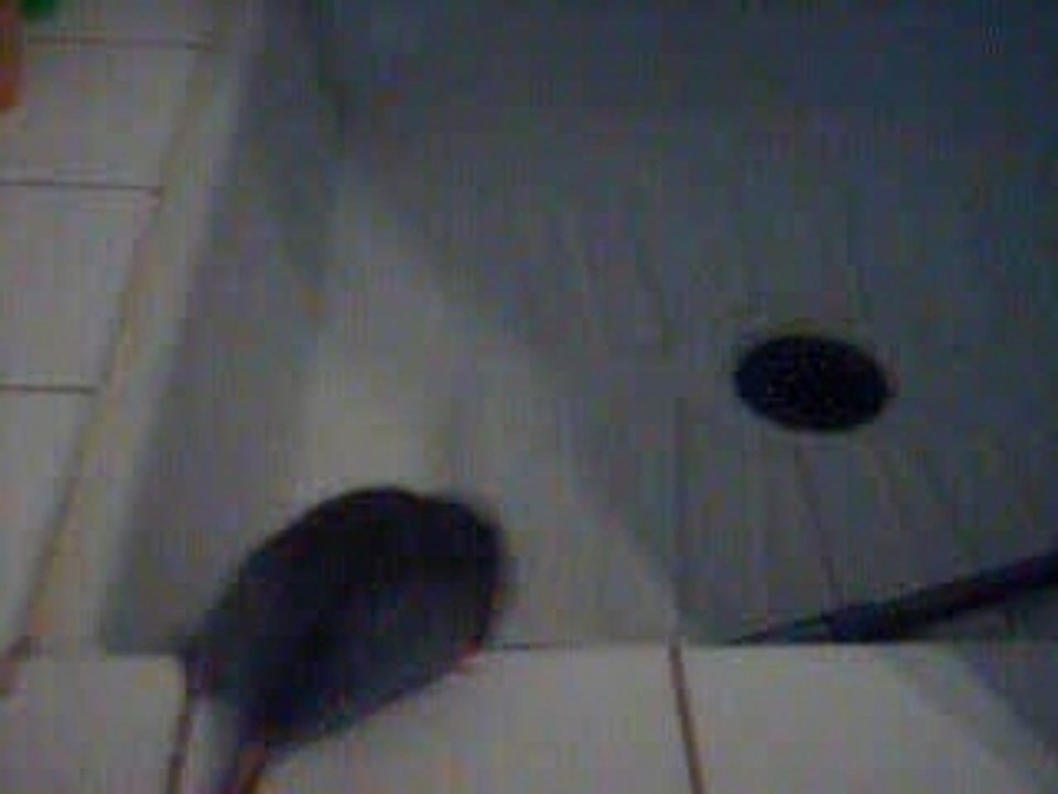 Liloo et la douche