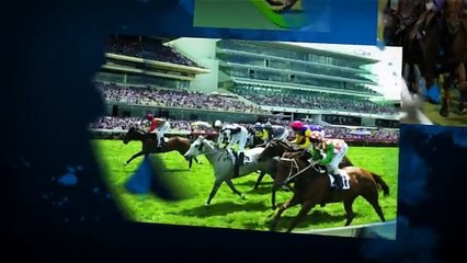 The Racing Tipsters Review - Is It Legitimate?