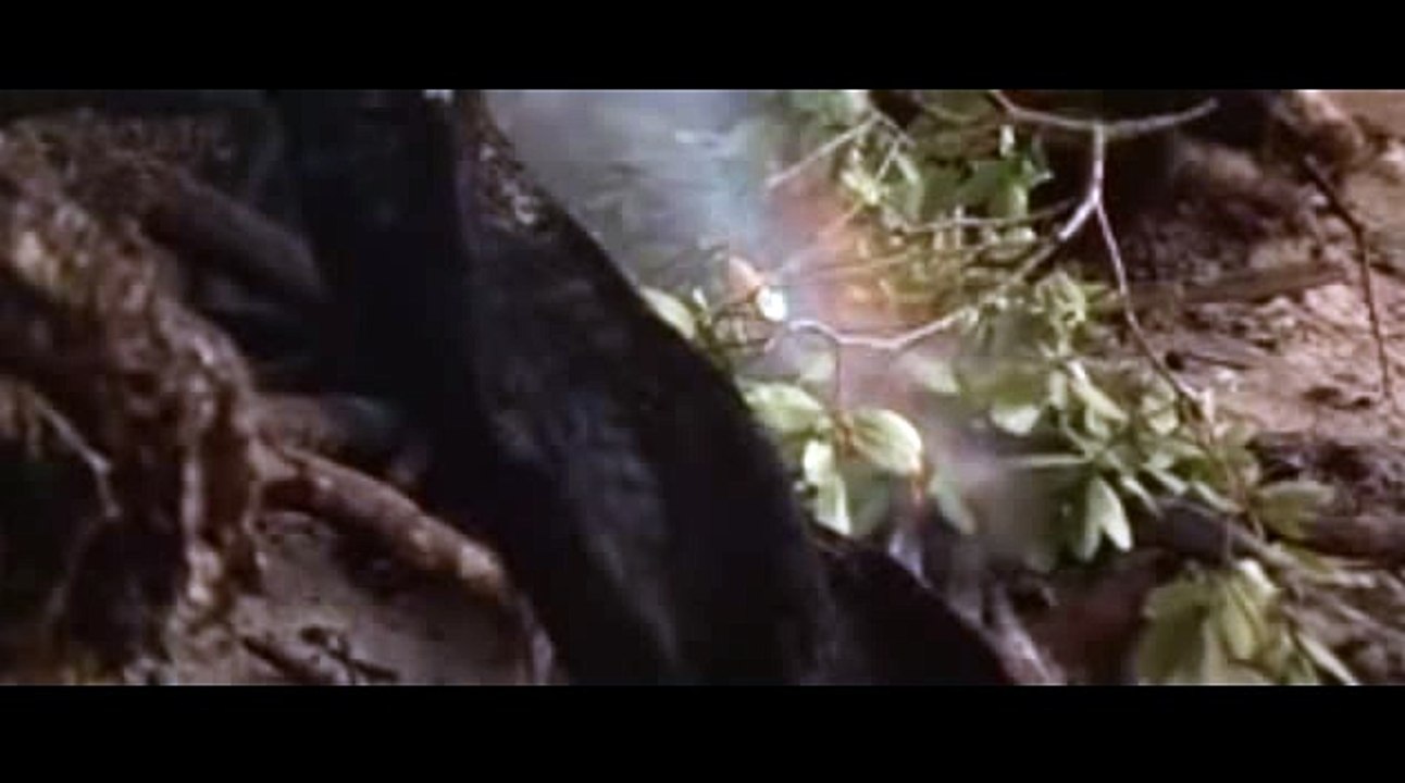 크라운카지노★KOP77,COM◇호게임↙달팽이게임