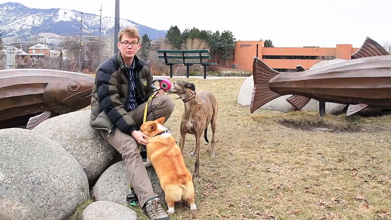 Speciation Of Ligers & Men - Crash Course Biology #15