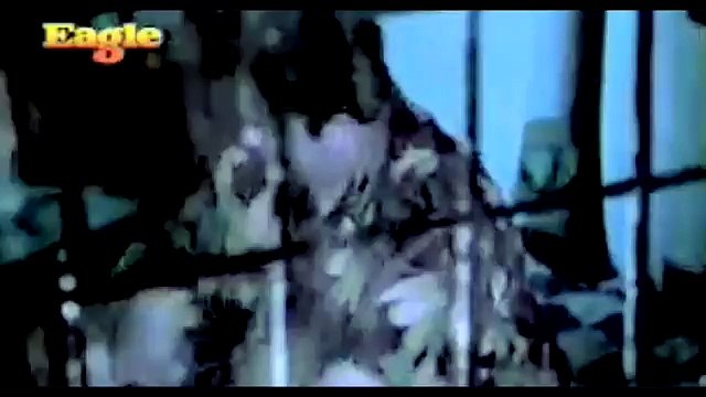 BheeGi BheeGi RaaTOn MeiN ~ ( pOp sOng HD ) - Downloaded from youpak.com