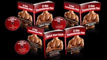 31 Day Testosterone Plan Review - Is It a Scam?