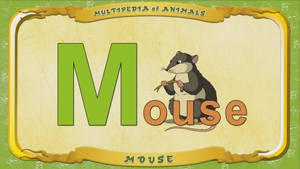 Multipedia of Animals. Letter M - Mouse