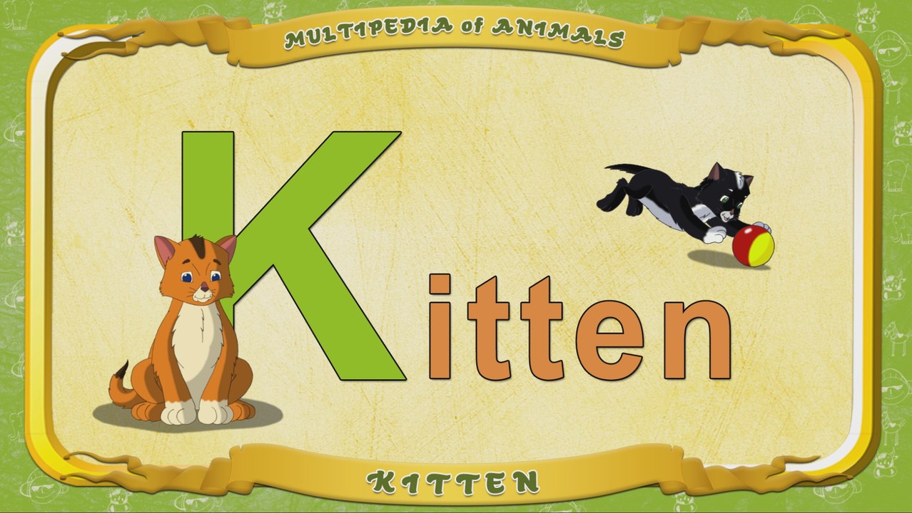 Multipedia of Animals. Letter K - Kitten