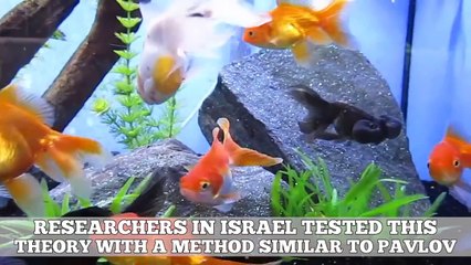 10 Scientific Misconceptions Debunked