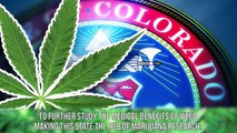 10 Benefits Of Marijuana Legalization