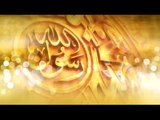 Muhammad Tahir Qadri - Sarkar Ka Nokar Hun - Sarkar Ka Nokar Hun 2015 - YouTube[via torchbrowser.com]