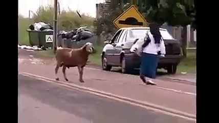 Ie jour où vous vous levez mal regardez ce qui pourrait vous arriver