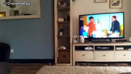 Кот отвечает по телефону