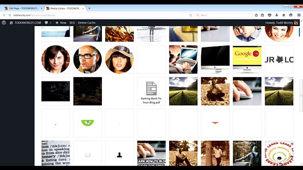 Wp Profit Builder Features and Bugs