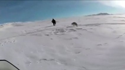 Avcı, Kurt Avında Ölümle Burun Buruna Geldi