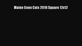 (PDF Download) Maine Coon Cats 2016 Square 12x12 PDF