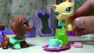 Littlest Pet Shop: Sweetheart (Episode #7: Getting Him Back)