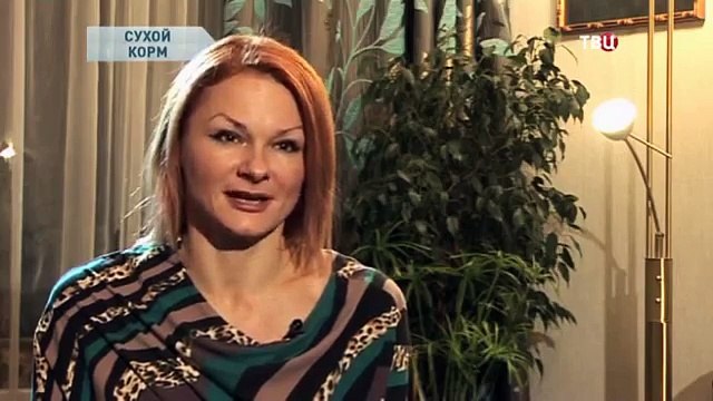 Сухой корм. Без обмана