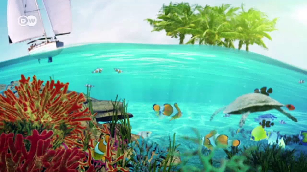 Megadamm bedroht Mekongdelfine | Global Ideas