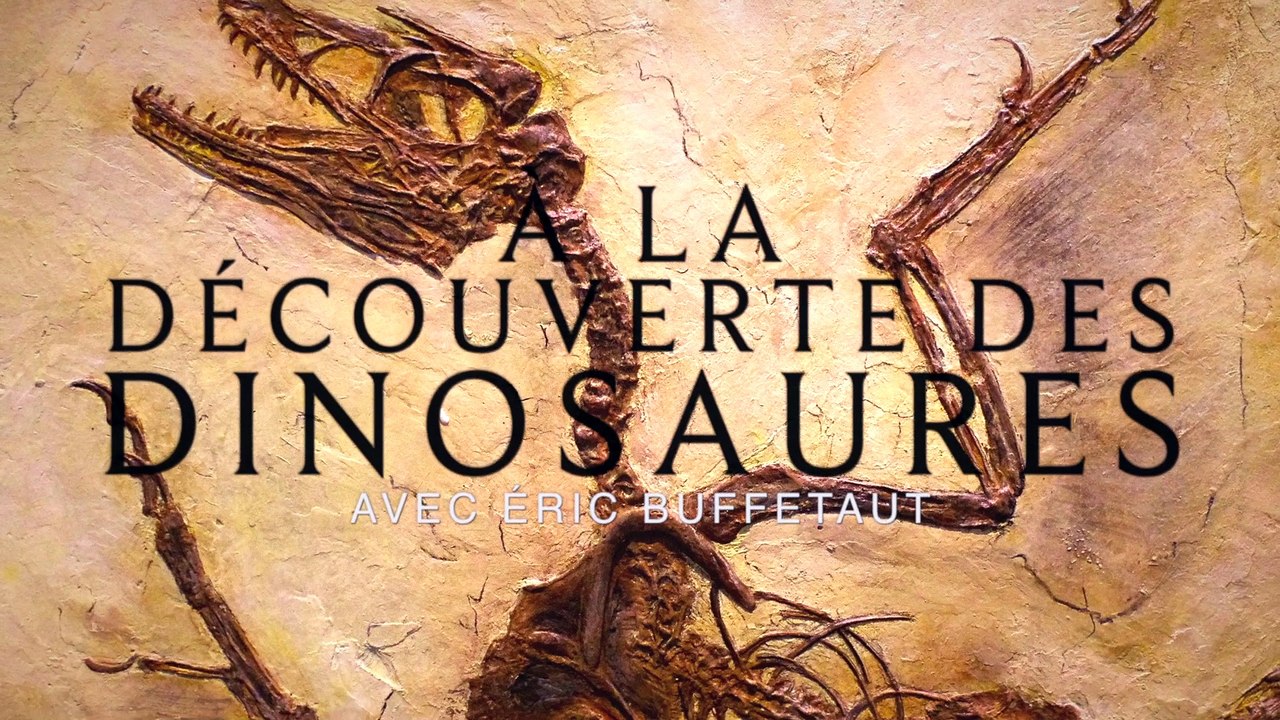 Comment se forment les fossiles de dinosaures ?