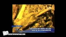 Giant Alien Skull Discovered - UFOs - Alien Skulls