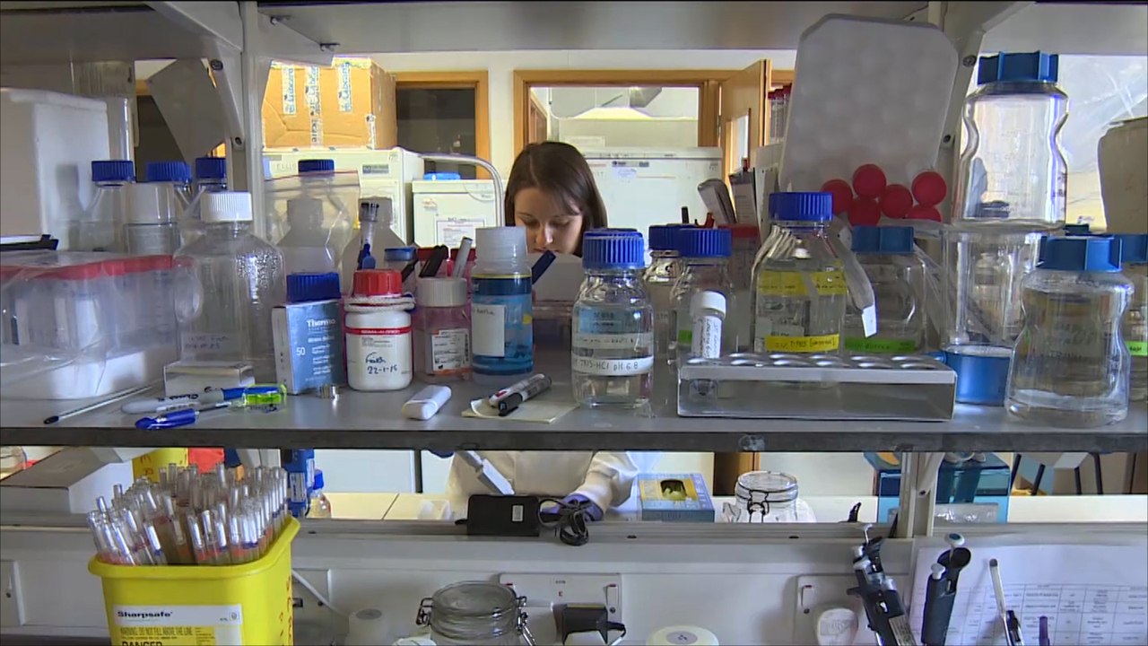 جامعة بريطانية تطور أساليب جديدة لمعالجة السرطان