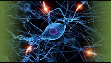 The Ms reversing Breakthrough multiplesclerosiscure Reviews-Is It Worth It?