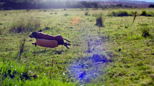 Pub Heinz (Super Bowl 2016)