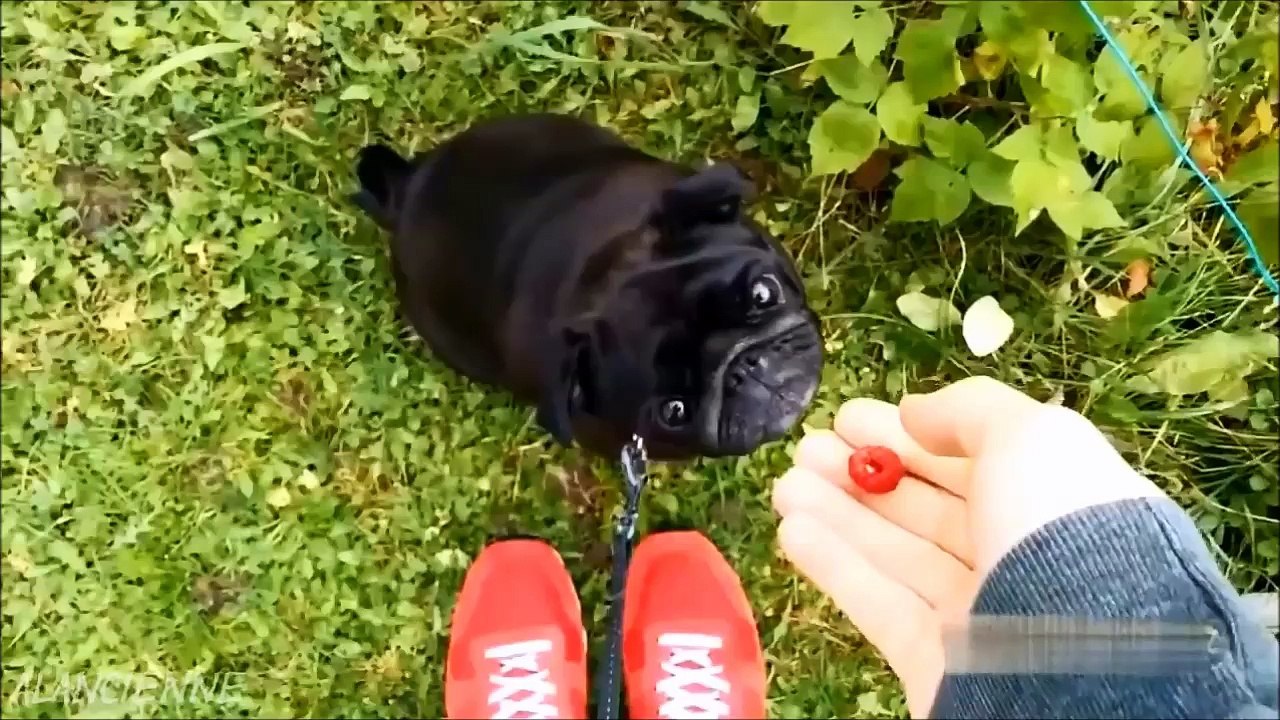 Hiç bir şey göründüğü gibi değildir :D