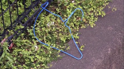 Secret Life of Crows(full documentary)HD