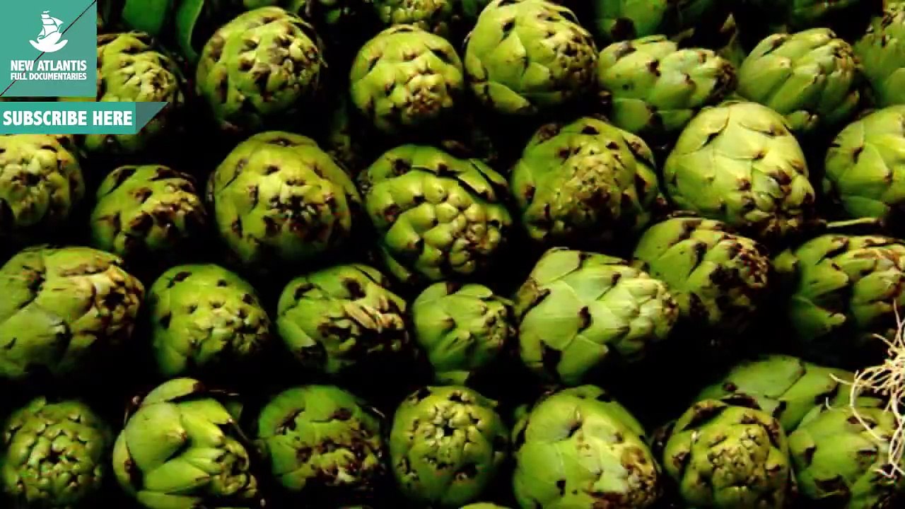 The Food of the Future (Full Documentary)