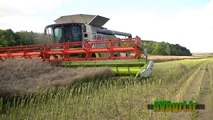 CLAAS Lexion 770, CASE IH AFS 9230 et JOHN DEERE S670i au colza en 2013